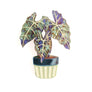 Laliblue : Plant Lover : Alocasia Brooch