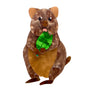 Erstwilder : Australiana : Quinn the Quokka Brooch
