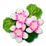 Erstwilder : RBGV : Austral Stork's-Bill Brooch