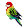 Erstwilder : RBGV : Eastern Rosella Brooch