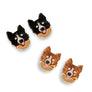 Bling Hound : Border Collie Studs