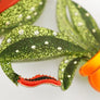 LaliBlue : Halloween Woods : Carnivorous Plant Brooch