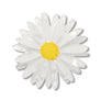 Erstwilder : RBGV : Cut-leaf Daisy Simplified Mini Brooch