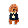 Bling Hound : Groodle Brooch