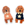 Bling Hound : Groodle Brooch