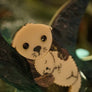 Lost Kiwi Designs : Sea Otter Brooch