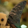 Lost Kiwi Designs : Sea Otter Brooch