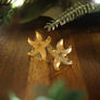 Lost Kiwi Designs : Sea Star Studs