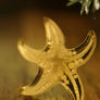 Lost Kiwi Designs : Sea Star Studs