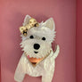 Bling Hound : Westie Brooch