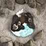 Lost Kiwi Designs : New Zealand Blue Duck Brooch