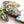 Laliblue : Plant Lover : Alocasia Brooch
