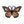 Erstwilder : Pete Cromer North America : The Magnificent Monarch Butterfly Brooch