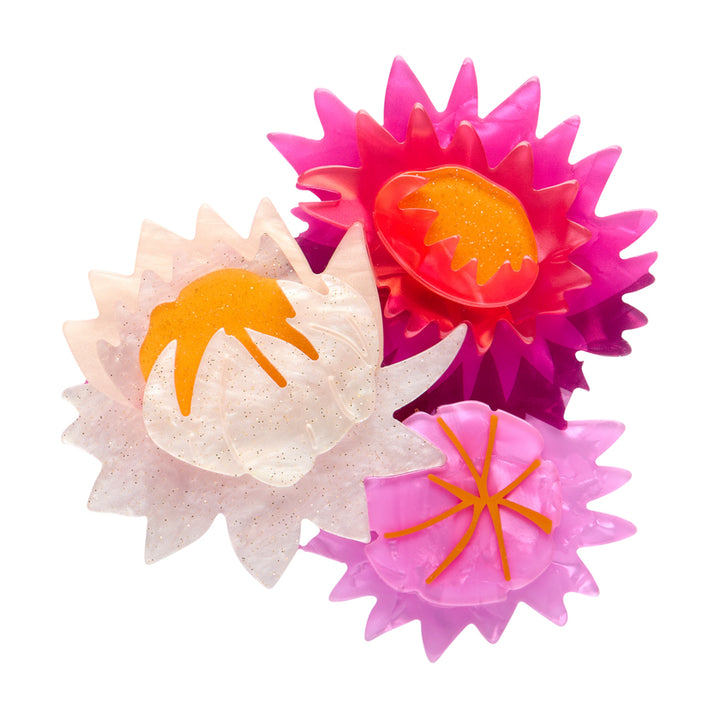 Erstwilder : Australiana : Strawflowers Brooch