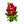 Erstwilder : Australiana : Crimson Bottlebrush Brooch