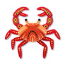 Erstwilder : Brooke Sutton : Karntat (Crab) Brooch