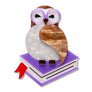 Erstwilder : Fan Favourites : Studious Snow Owl Brooch