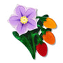 Erstwilder : RBGV : Kangaroo Apple Brooch