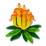 Erstwilder : RBGV : Long-flower Mistletoe Brooch