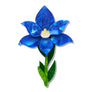 Erstwilder : RBGV : Spotted Sun-Orchid Brooch