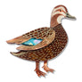 Erstwilder : RBGV : Pacific Black Duck Brooch