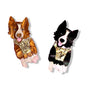 Bling Hound : Border Collie Brooch