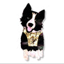 Bling Hound : Border Collie Brooch