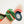 Laliblue : Plant Lover : Car with plants brooch