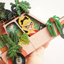 Laliblue : Plant Lover : Car with plants brooch