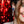 LaliBlue : Christmas : Christmas Sparkle Earrings