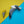 Dolly Dimple Design : Seagull Brooch with Chips Pin Badge