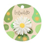 Erstwilder : RBGV : Cut-leaf Daisy Simplified Mini Brooch