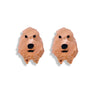 Bling Hound : Labradoodle Studs