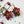 LaliBlue : Christmas : Mini Poinsettia Earrings
