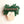 Laliblue : Plant Lover : Monstera brooch