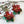 LaliBlue :  Christmas : Poinsettia Earrings [PRE-ORDER]