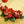 LaliBlue : Christmas : Poinsettias Necklace
