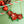 LaliBlue : Christmas : Poinsettias Necklace