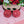 Cherryloco : Rose Earrings