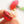 Laliblue : Plant Lover : Red carnation earrings