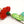 Laliblue : Plant Lover : Red carnation necklace