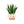 Laliblue : Plant Lover : Sansevieria brooch