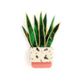 Laliblue : Plant Lover : Sansevieria brooch