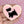 Birdie Bananas : Scottie Dog Pink Heart Brooch