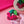 Cherryloco : Skull Cherry Brooch