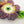 LaliBlue : Halloween Woods : Spooky Flowers Necklace