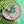 Cherryloco : T Rex Dinosaur Teacup Brooch or Necklace [PRE-ORDER]