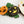 LaliBlue :  Halloween Woods : Trick or Treat Caravan Necklace / Brooch