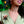 LaliBlue : Cursed Carnival : Ventriloquist and her dummy Brooch