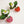 Laliblue : Plant Lover : Wild strawberry earrings